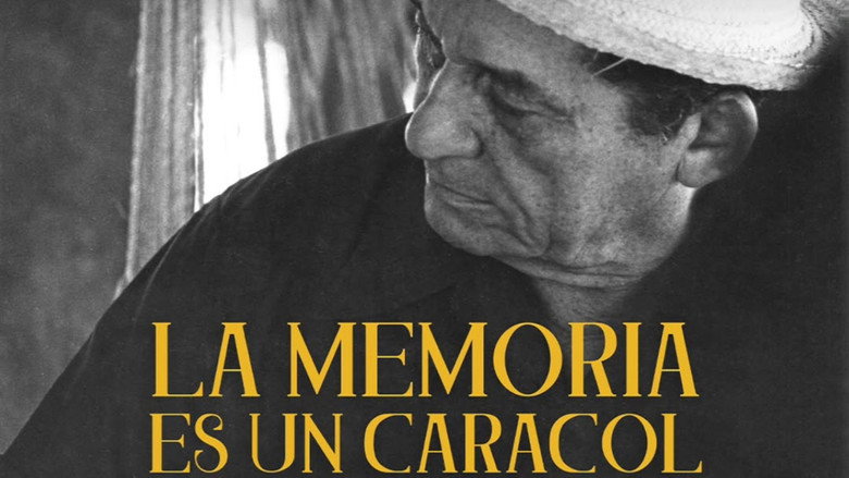 La Memoria es un Caracol still 8