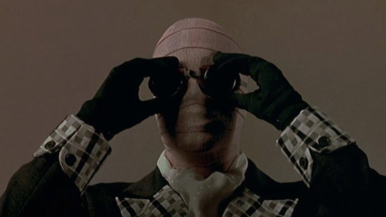 Memoirs of an Invisible Man still 5