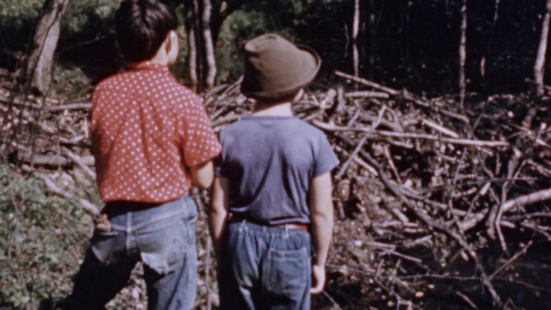 Beaver Dam still 1