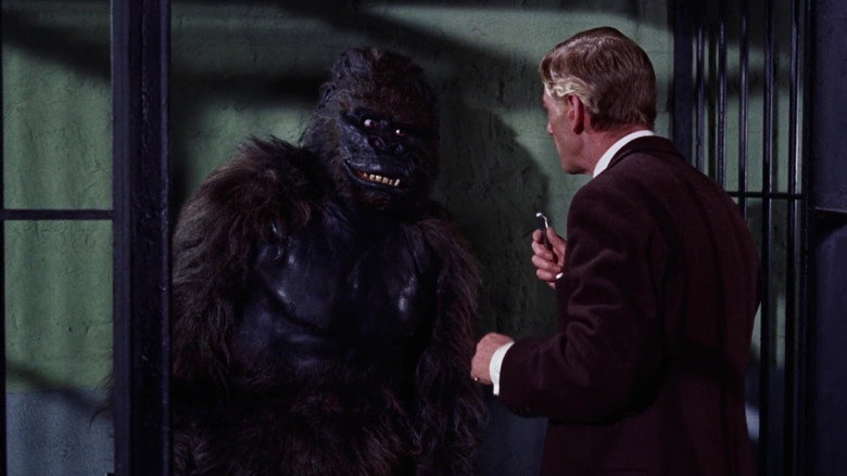 Konga still 8