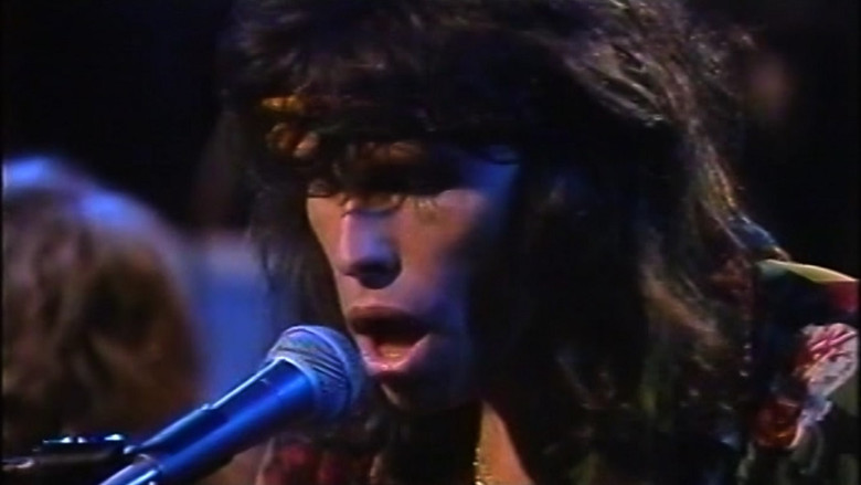 Aerosmith: MTV Unplugged still 2