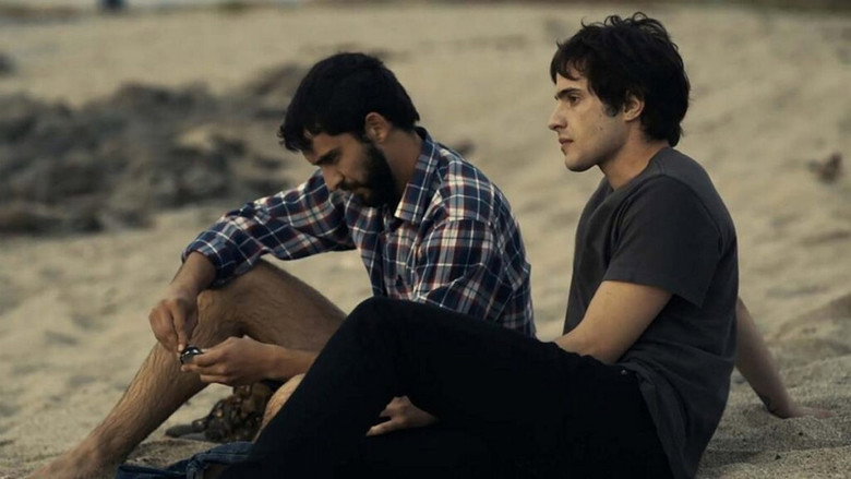 The Sea still 1