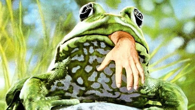 Frogs still 2
