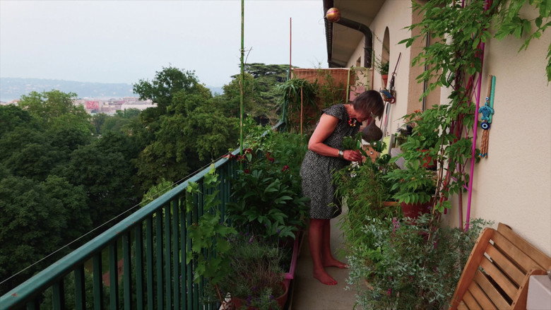 Les herbes still 2