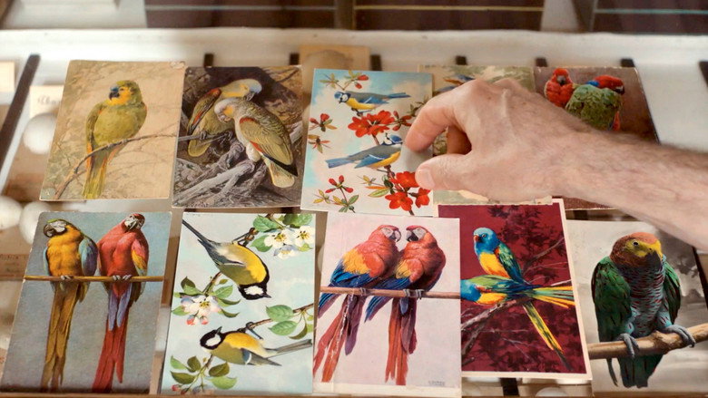 Language of Birds still 1