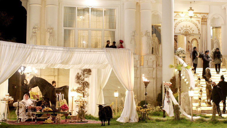 Pig still 1