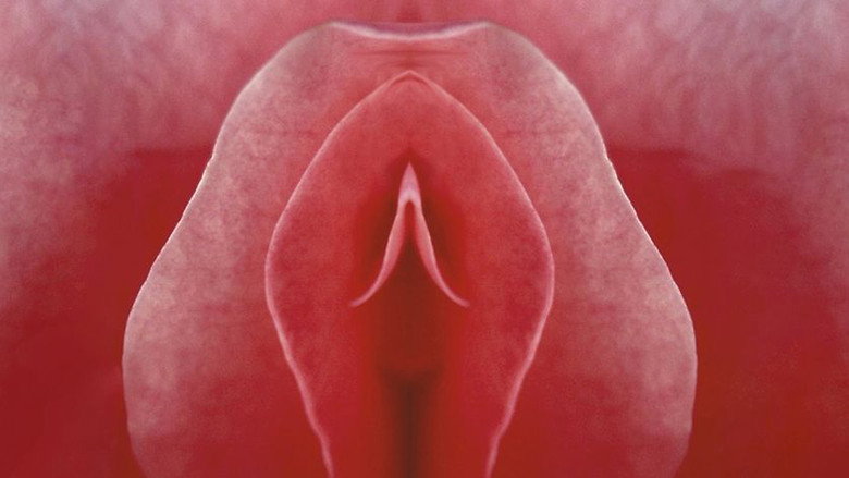 My Name is Clitoris still 3