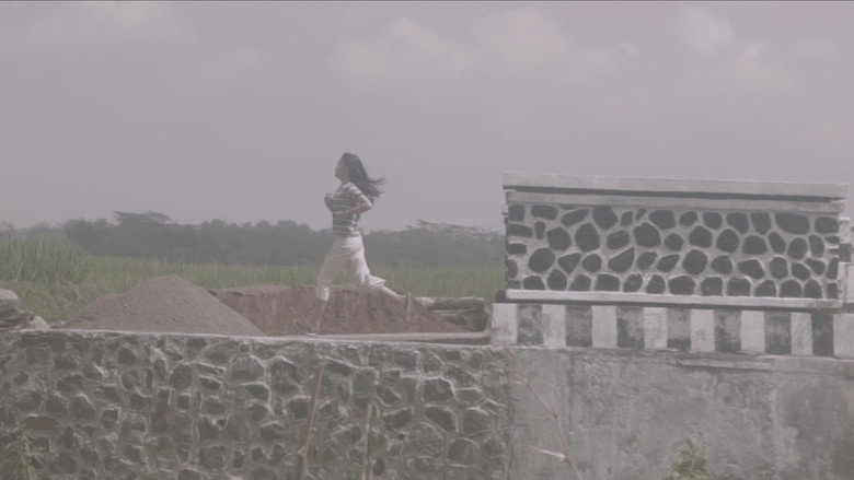 Kite still 1