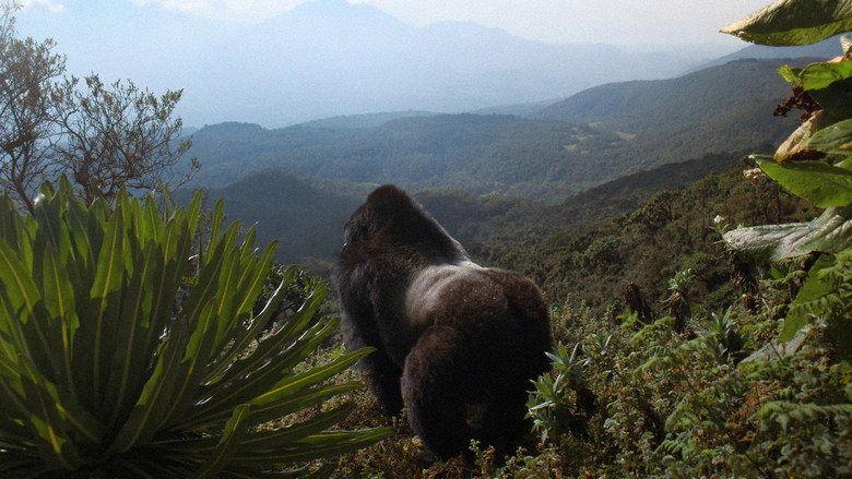 A Gorilla Story: Told by David Attenborough still 1