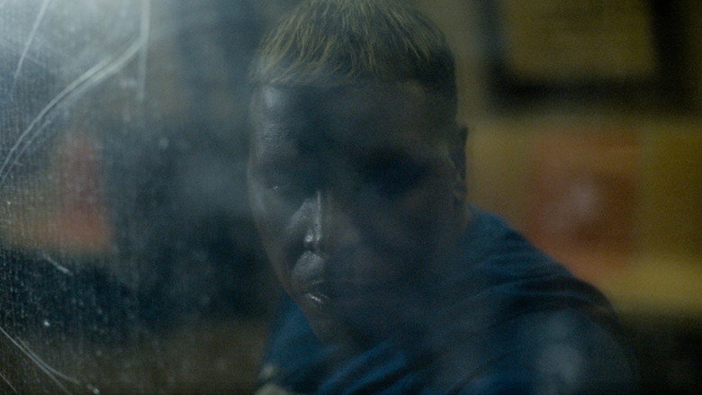Caterpillar still 1