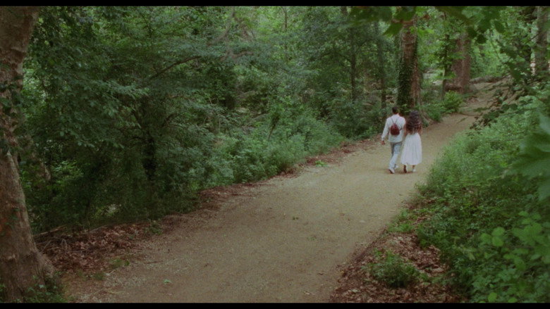 Sensaigua still 3