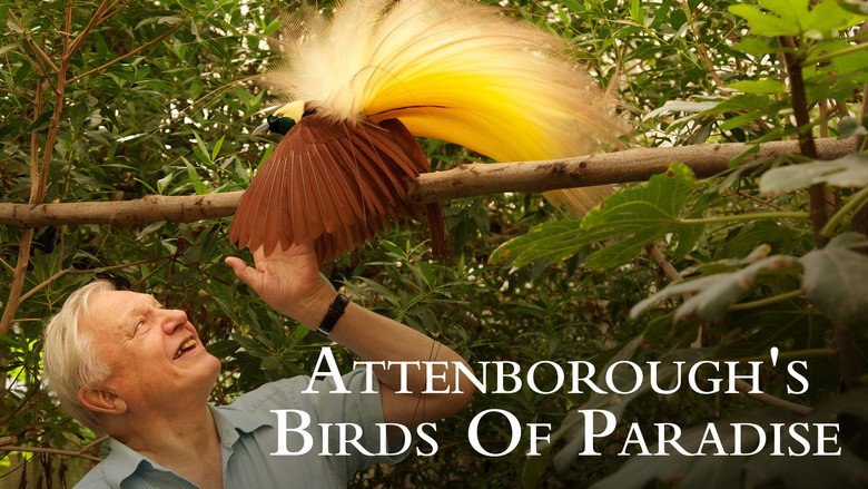 Attenborough's Paradise Birds still 2