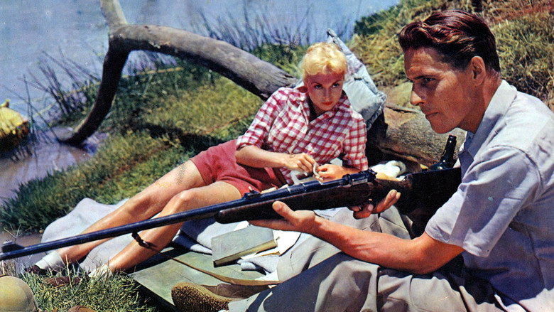 Safari still 3