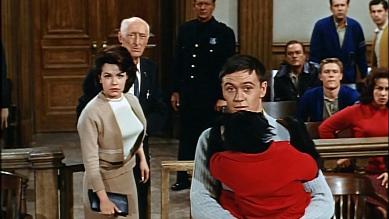 The Misadventures of Merlin Jones still 8