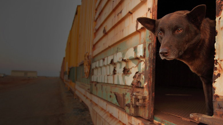 Red Dog still 6
