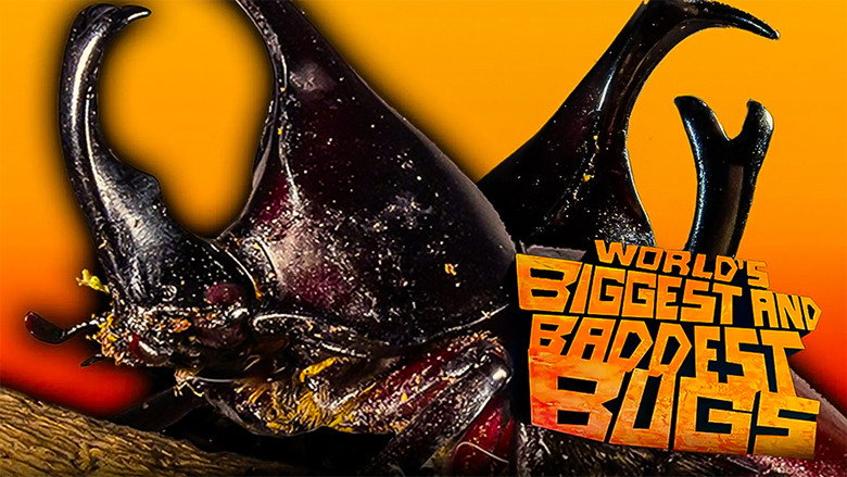The World's Biggest and Baddest Bugs still 2