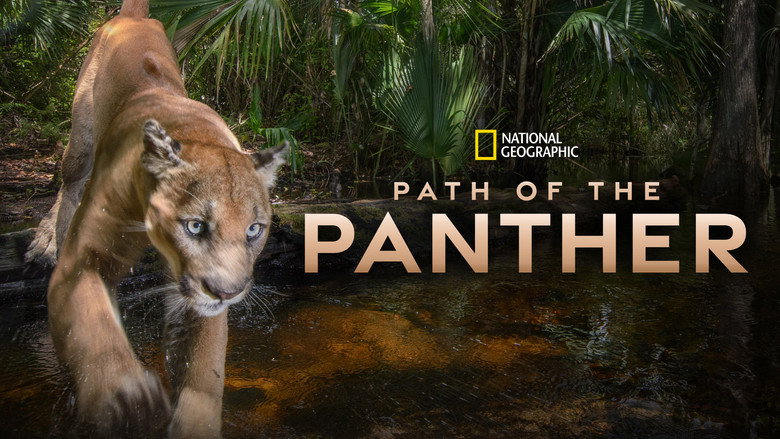 Path of the Panther still 6