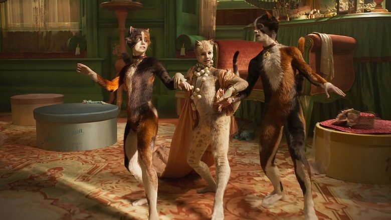 Cats still 1
