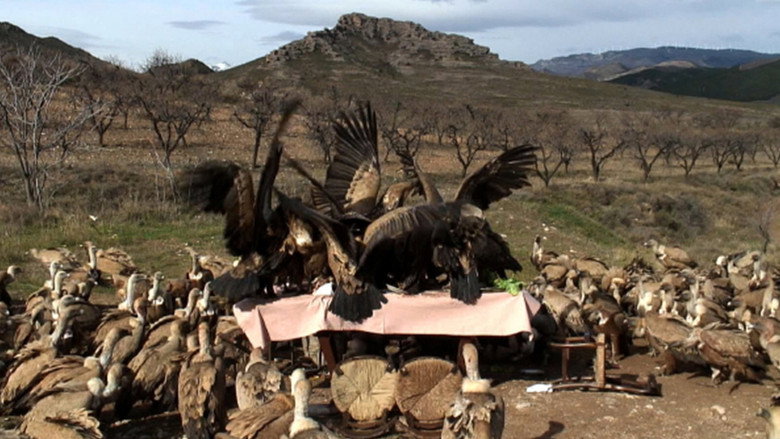 In Ictu Oculi still 1