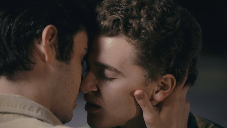 Photographs still 6