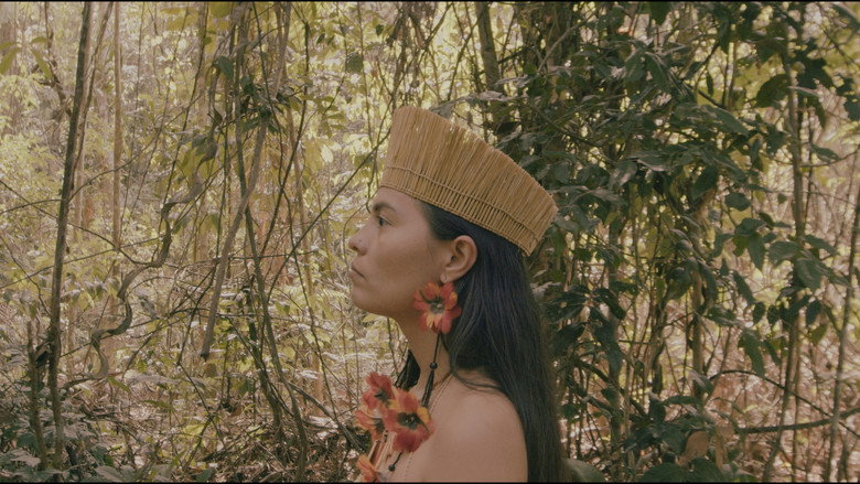 Cosmovisions still 3