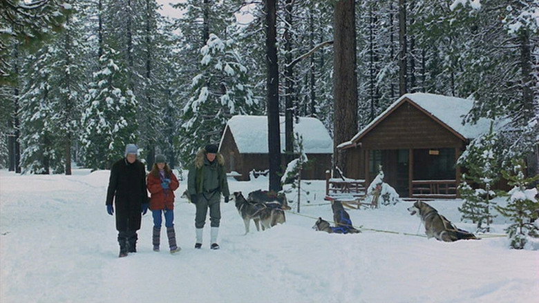 The Survivors still 1