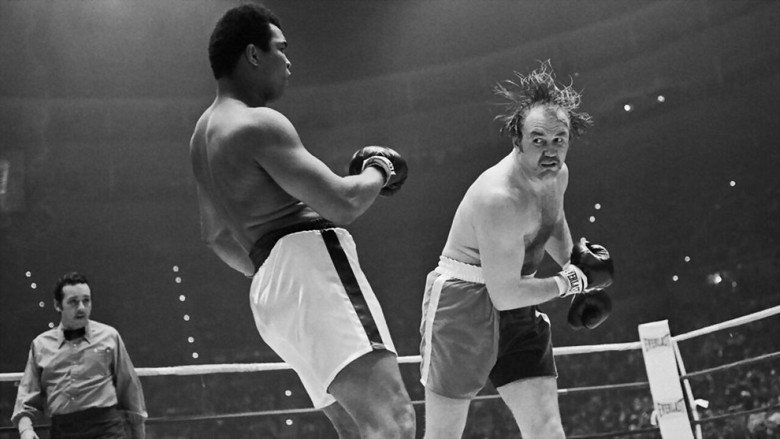 The Real Rocky still 1