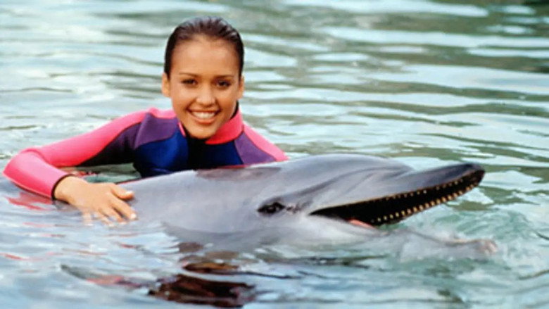 Flipper still 2
