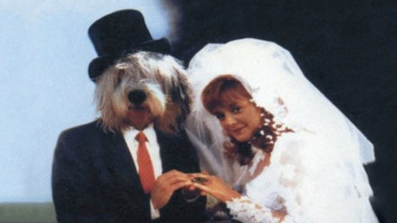 The Return of the Shaggy Dog still 3