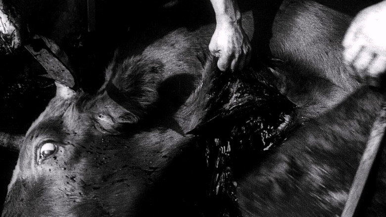Strike still 6