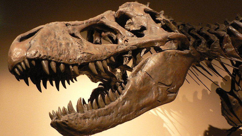 Des-Extinción still 1