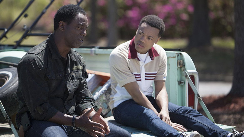 Blackbird still 1