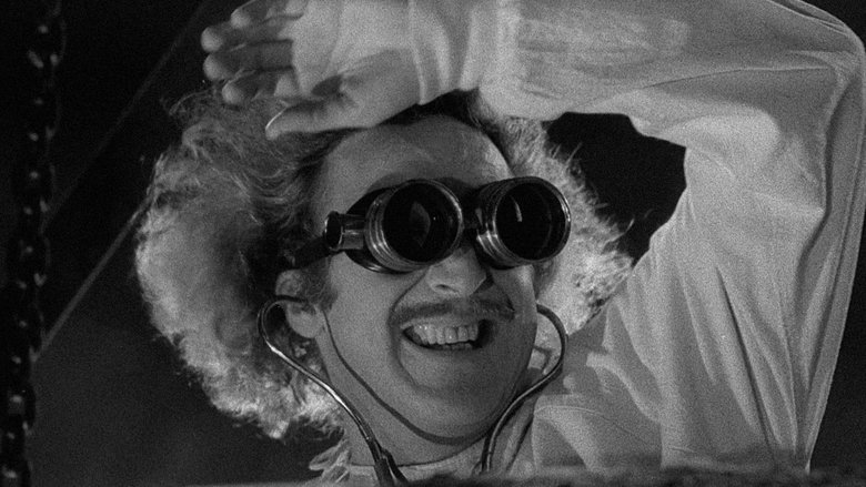 Young Frankenstein still 1