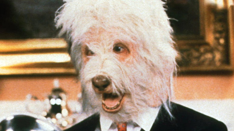 The Return of the Shaggy Dog still 1