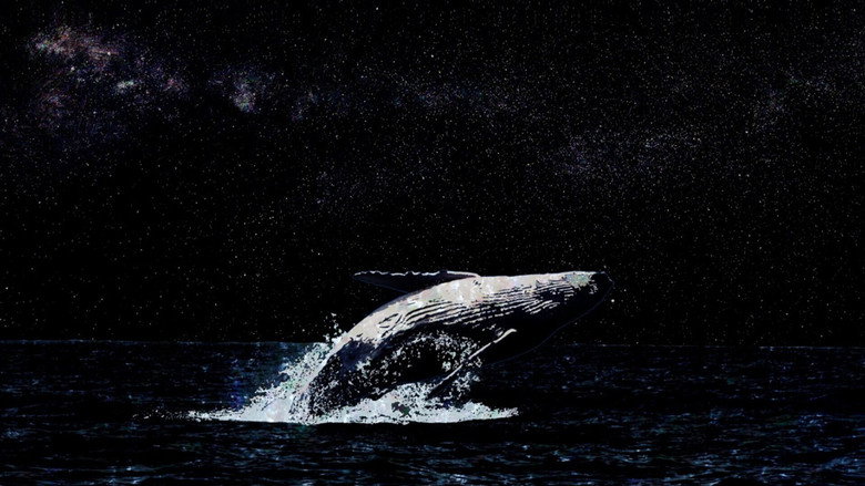 Whales and I still 6