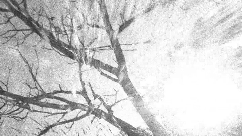 Spectral Ascension still 1