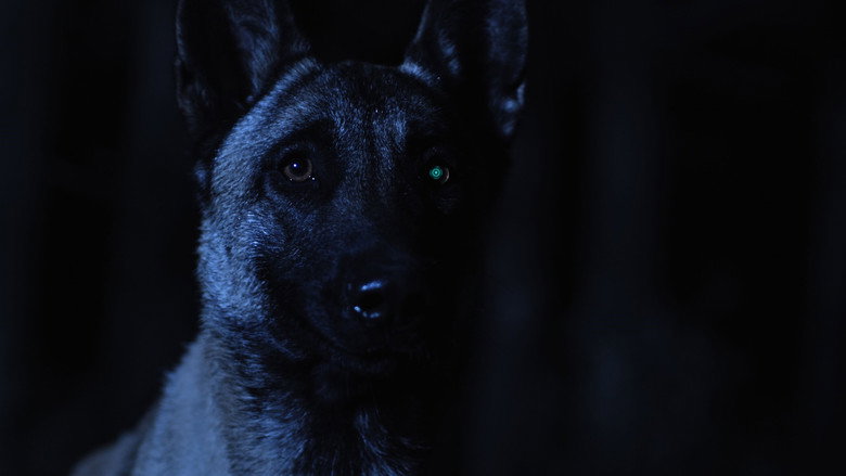 iCon still 1
