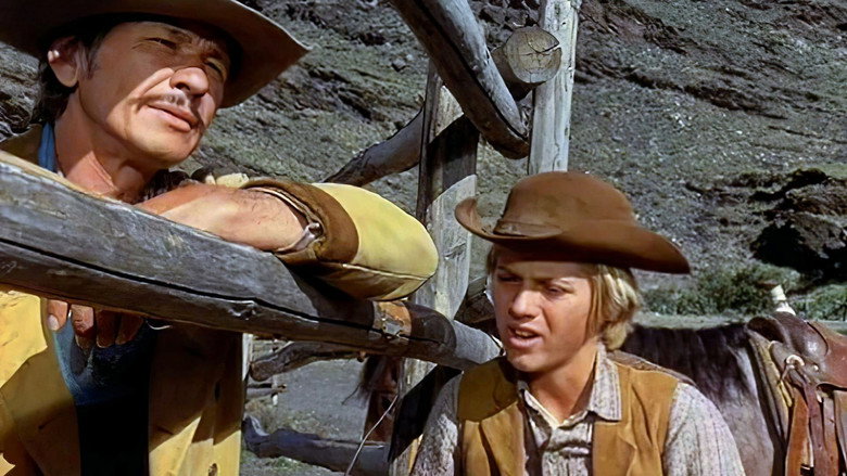 The Valdez Horses still 3