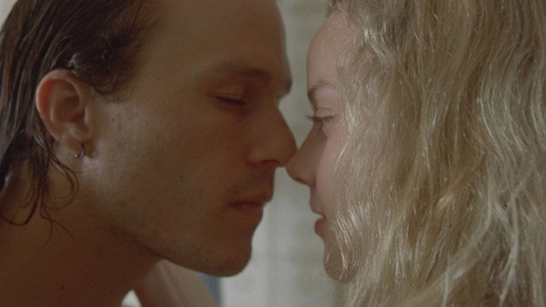 Candy still 4