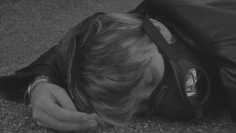 The Traveller still 2