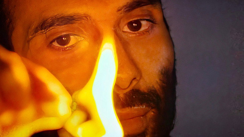 Mustapha El Atrassi - La Vie Est Folle still 2