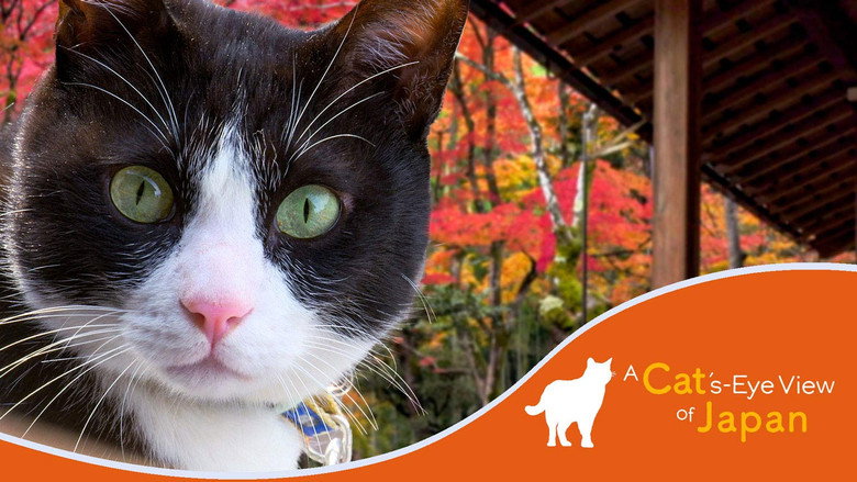 A Cat's-Eye View of Japan still 1