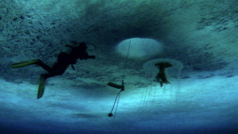 The Wild Blue Yonder still 4