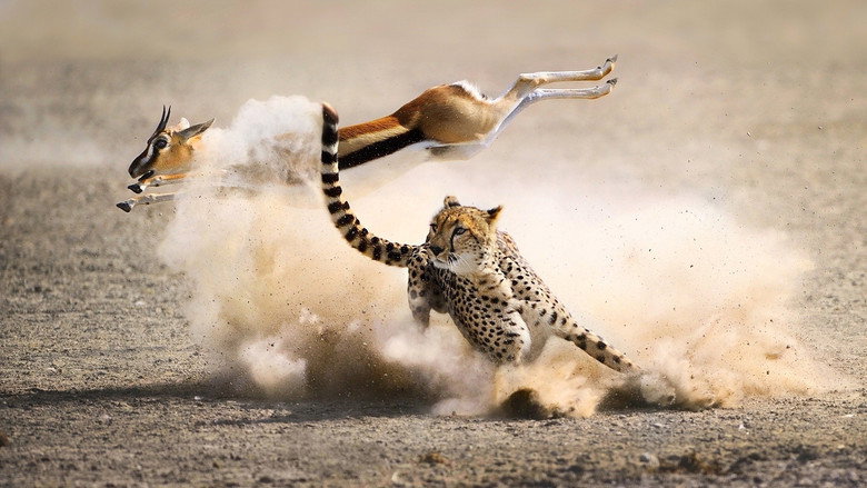 The Hunt still 1