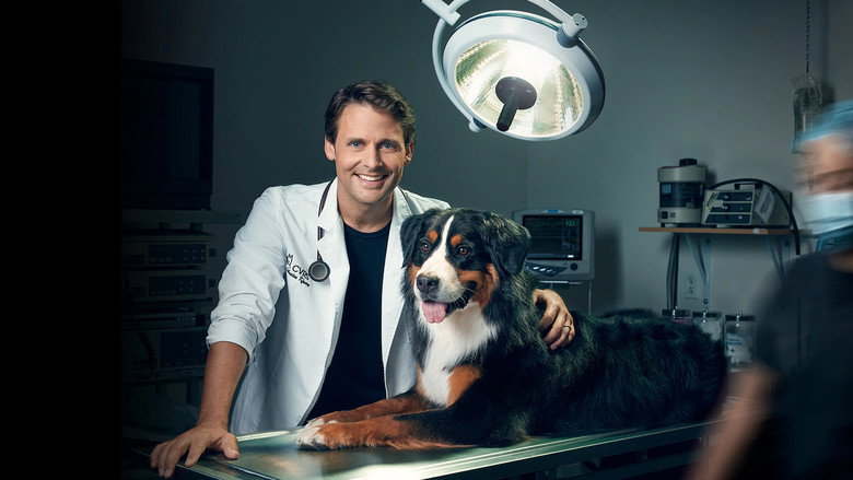 Dr Sébastien, vétérinaire still 1