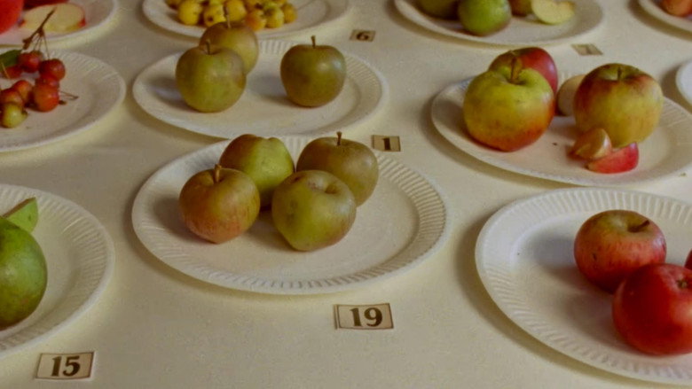 Some Interesting Apples still 1