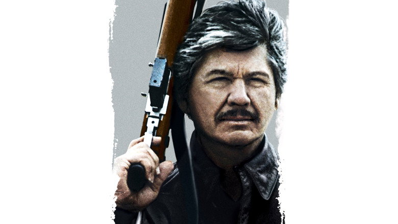 Death Wish 4: The Crackdown still 4