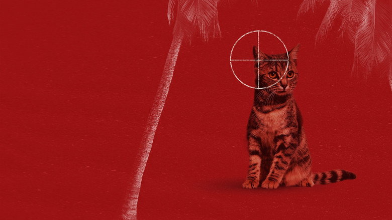 Feral still 3