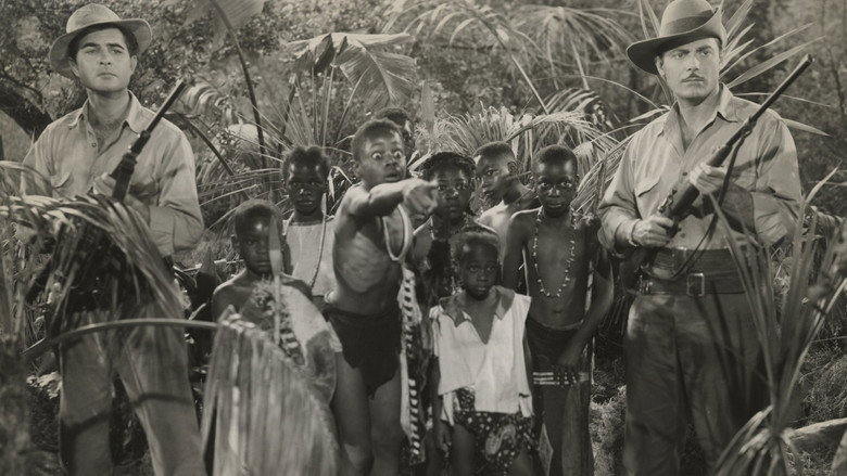 Zamba still 1