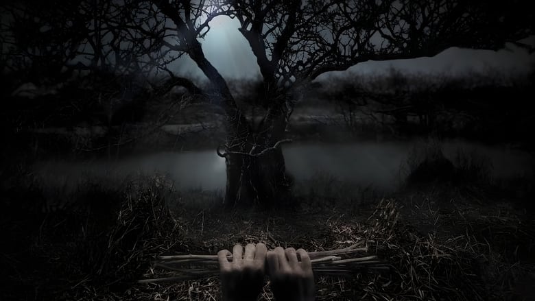 Stephen King's Kingdom Hospital still 1